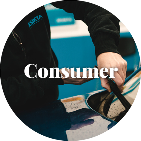 Consumer Business Area
